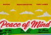 Sean Kingston Ft. Davido X Tory Lanez - Peace Of Mind (Official Audio)