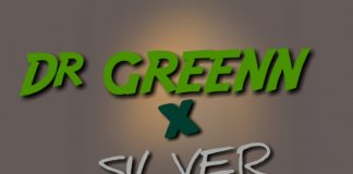 Dr Green Ft, Sylva - Raba (Official Audio)