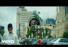 Demmie Vee - Surulere (Official Video)