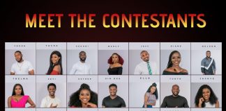 BBNaija 2019: Awolowo's Grandson, Nudist, Male Stripper, Policewoman Among Housemates