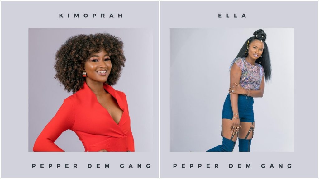 BBNaija 2019: Big Brother Is Joking With Ella And Kimoprah Eviction