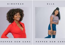 BBNaija 2019: Big Brother Is Joking With Ella And Kimoprah Eviction BBNaija 2019: Big Brother Is Joking With Ella And Kimoprah Eviction