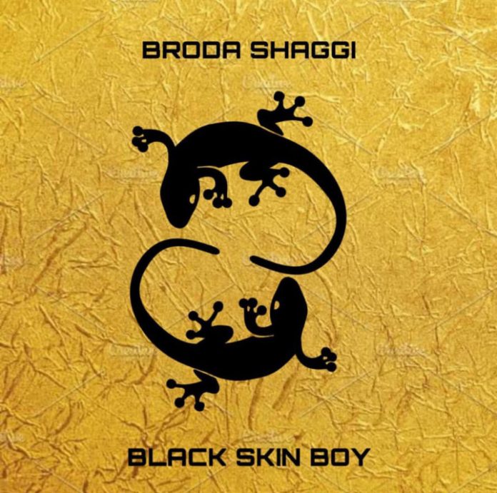 VIDEO: Broda Shaggi – Black Skin Boy