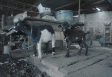 Video: Vector – Your Biology is Sending You To Hell (Pain & Depression)