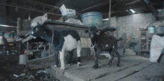 Video: Vector – Your Biology is Sending You To Hell (Pain & Depression)