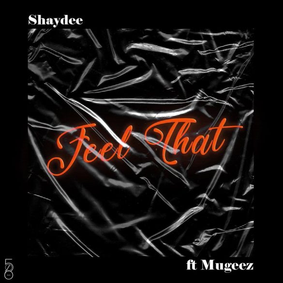 Shaydee Ft. Mugeez – Feel That