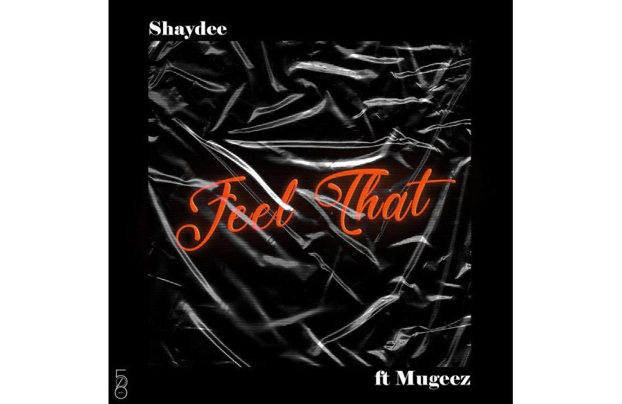 Shaydee Ft. Mugeez – Feel That