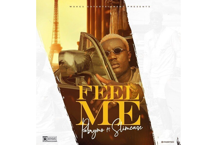 PaBrymo ft. Slimcase – Feel Me.