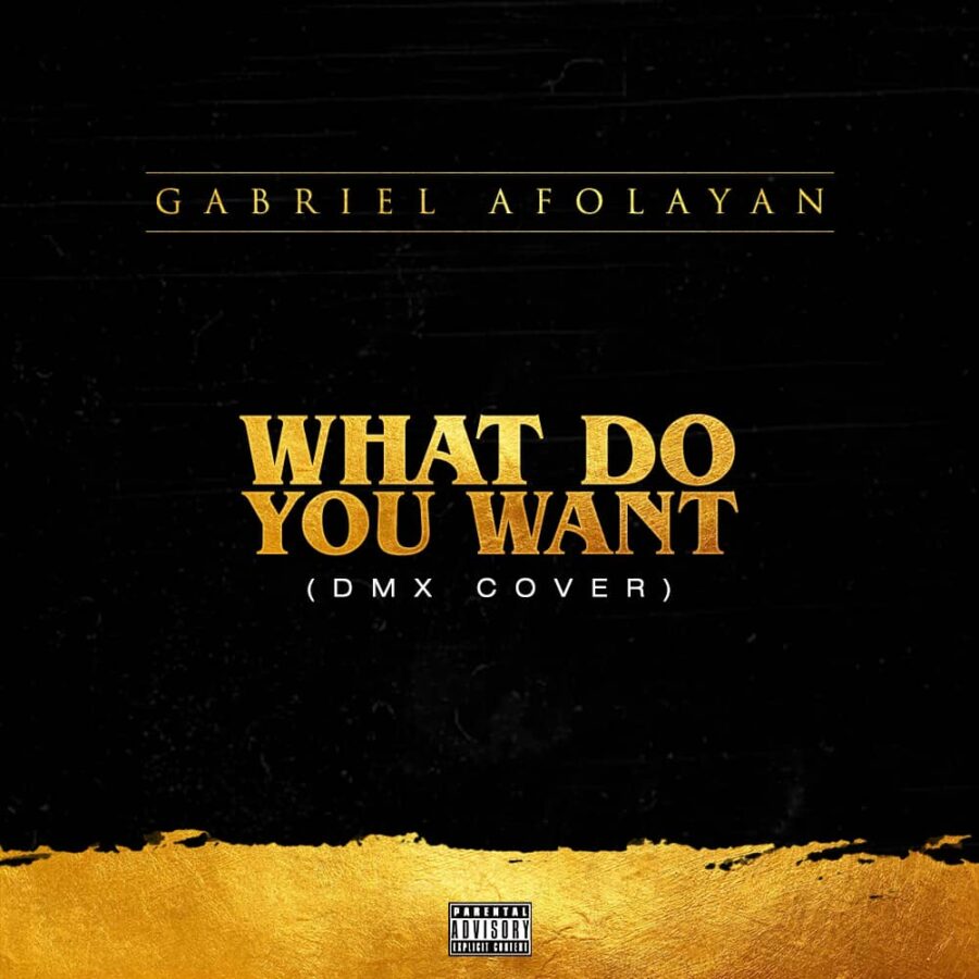 Gabriel Afolayan – What Do You Want
