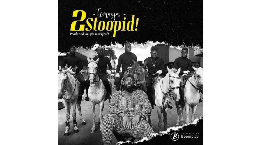 Timaya – 2Stoopid!