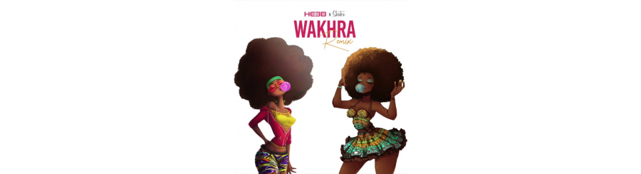 HE3B ft Skiibii – Wakhra (Remix)