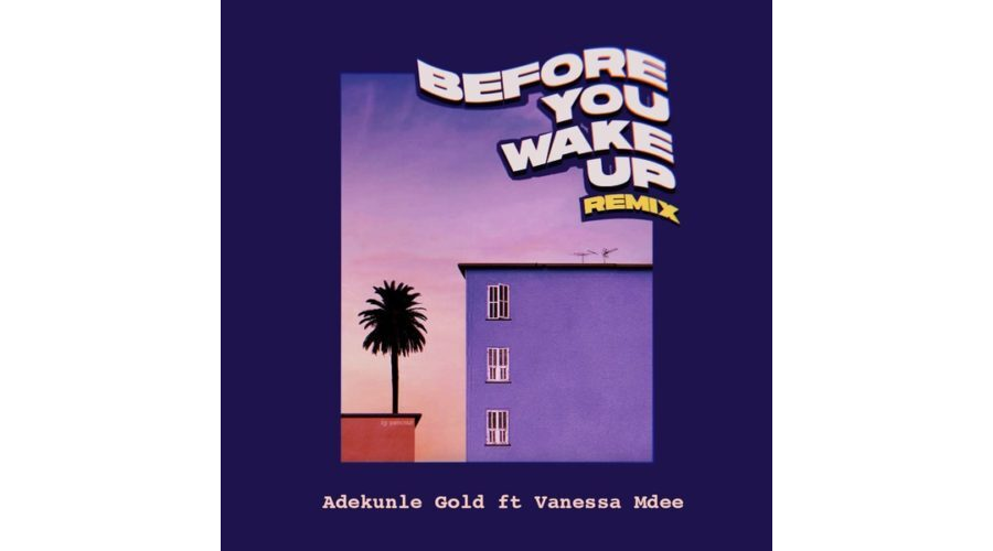 Adekunle Gold ft. Vanessa Mdee – Before You Wake Up (Remix)
