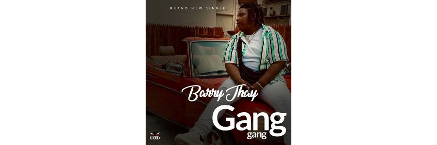 Barry Jhay – Gang Gang